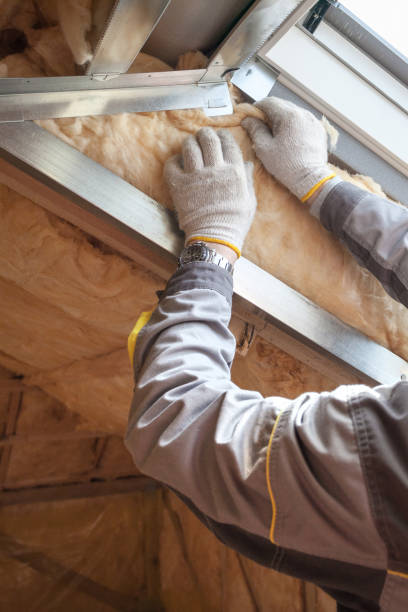 Best Insulation Installation Services in Rocky Top, TN